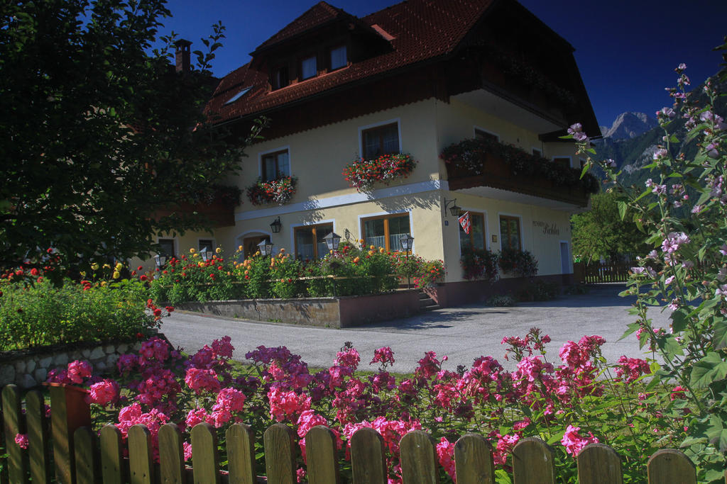 Pension Pichler Hinterstoder Exteriér fotografie